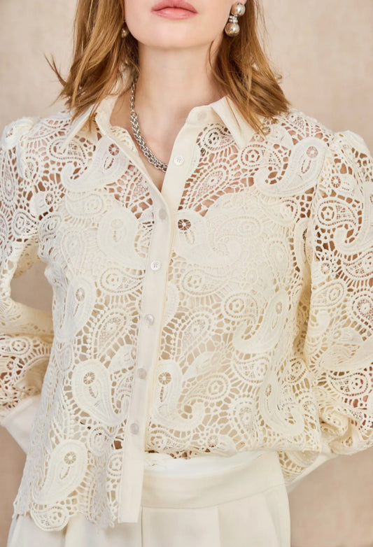 Romantic and refined lace blouse – stylish elegance with a timeless charm